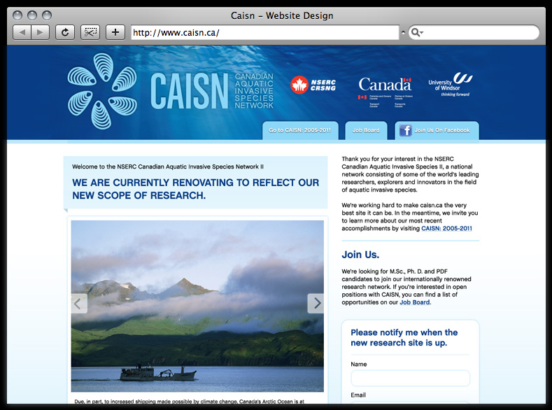 Caisn: Website Design